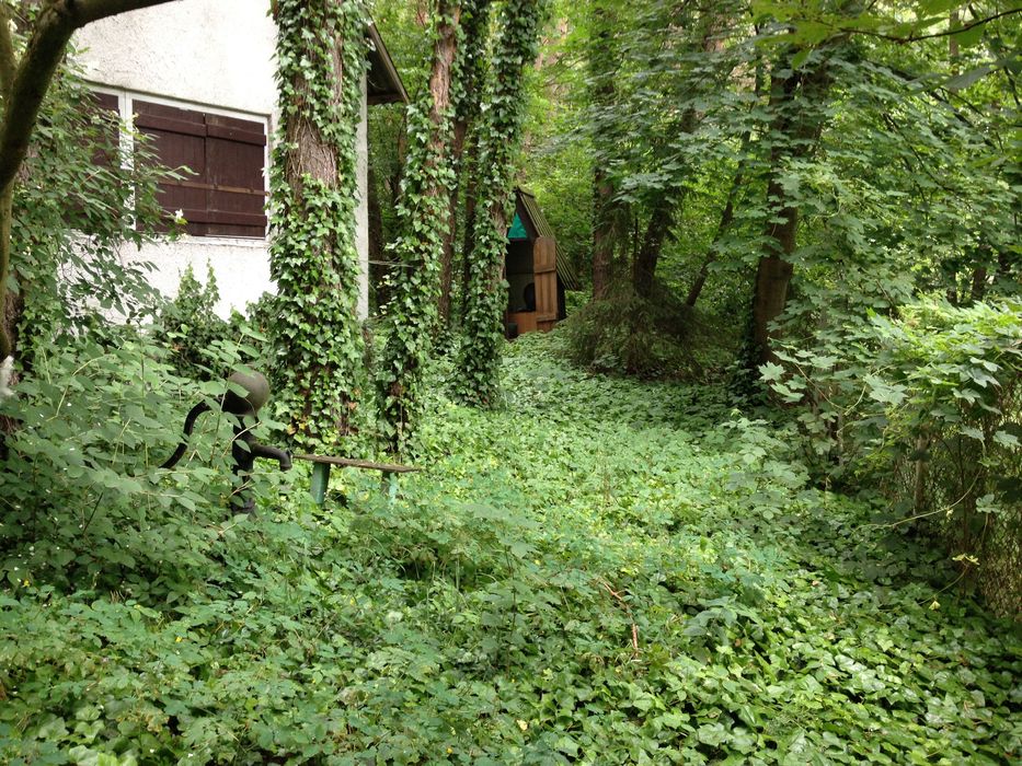 Dwa domy na pięknej działce 40 km od Warszawy, OKAZJA inwestycyjna!!!