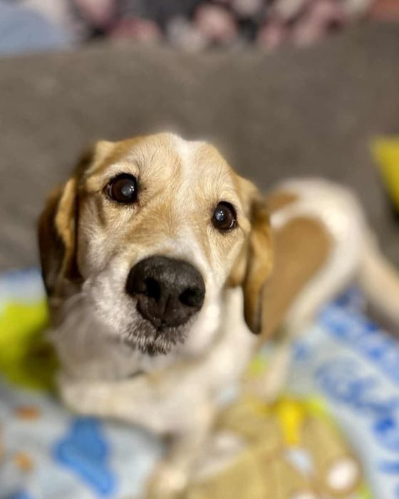 SOFI sunia spragniona szczęścia