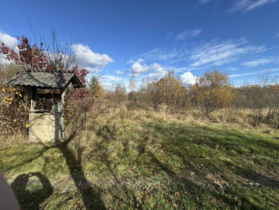 Дача поряд з лісом