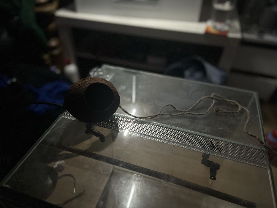Terarium 40/40/50 plus dekoracje