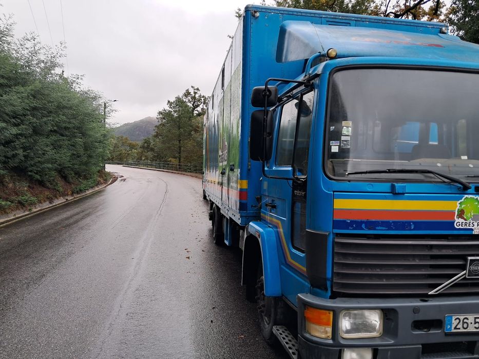 Vendo camião de transporte de cavalos