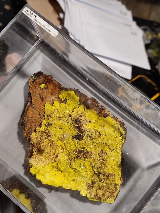 Minerał uranowy. Autunit, świeci przepięknie w UV.