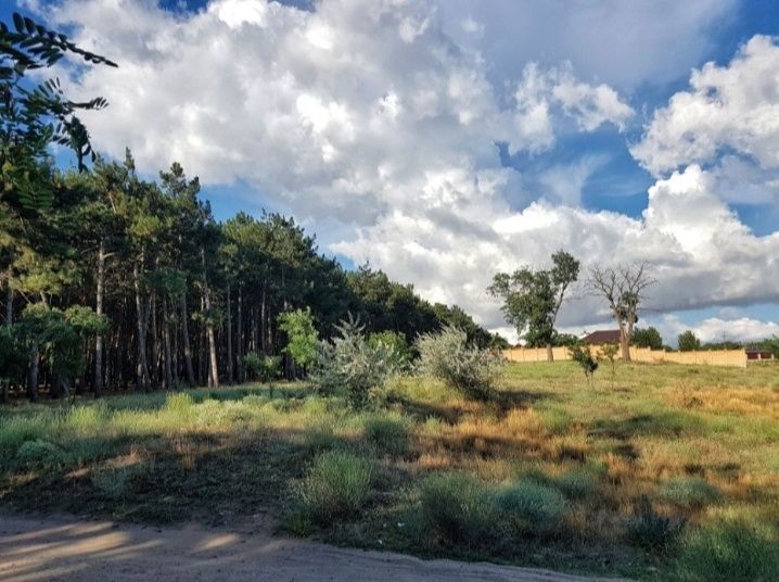 Большой выбор участков вокруг города Николаев, у трассы, реки, леса.