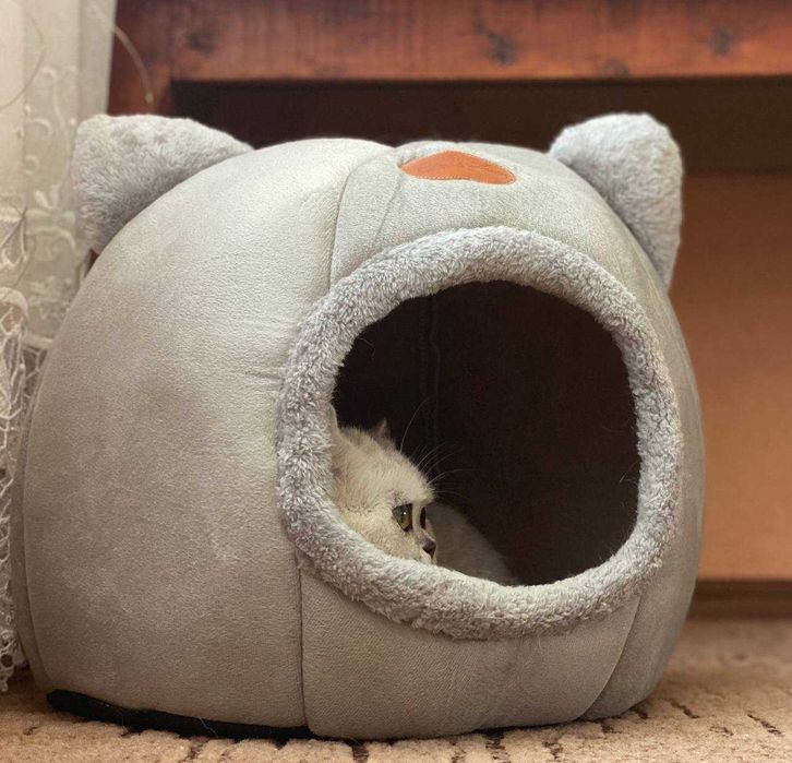 Будиночок Домик для кота М XL, маленьких собачок. Котик. Хатка. Новий