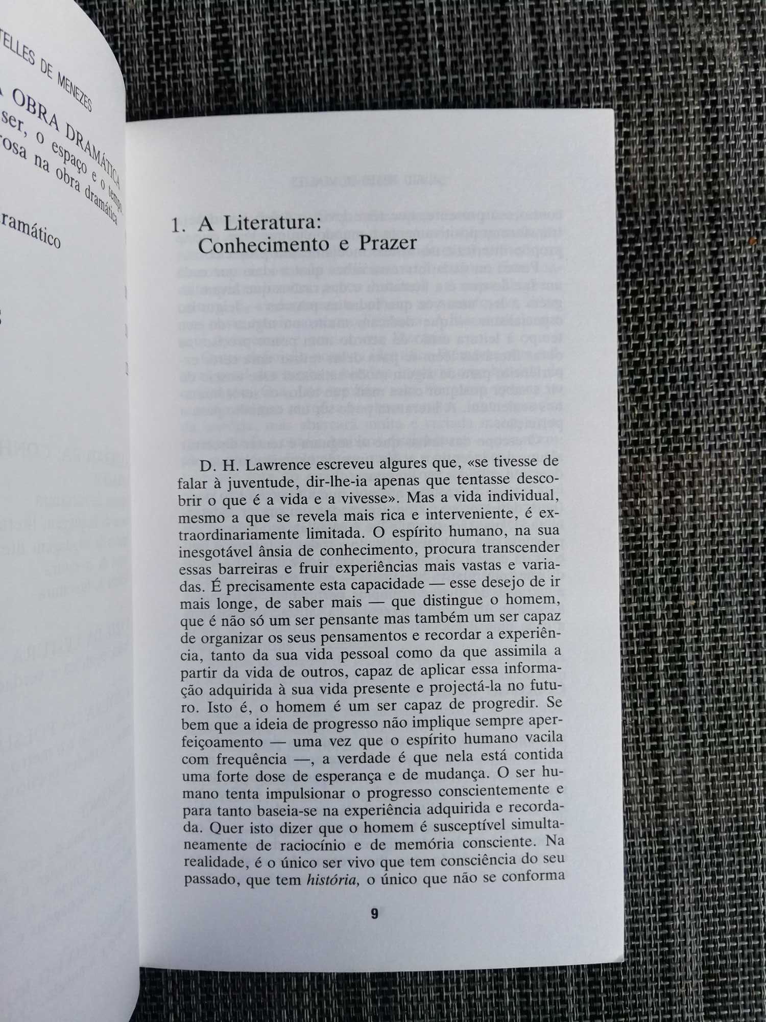 Literatura - Salvato Telles de Menezes (portes incluídos)