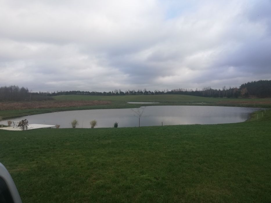 Kopanie Stawów melioracja