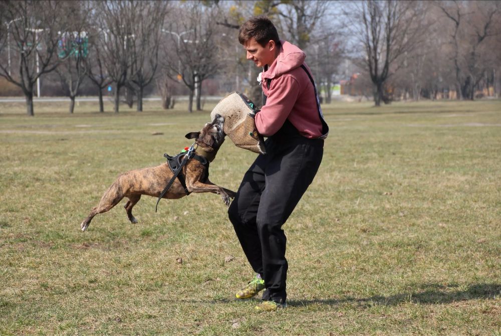 Szelki dla psa Hurtta Weekend Warrior