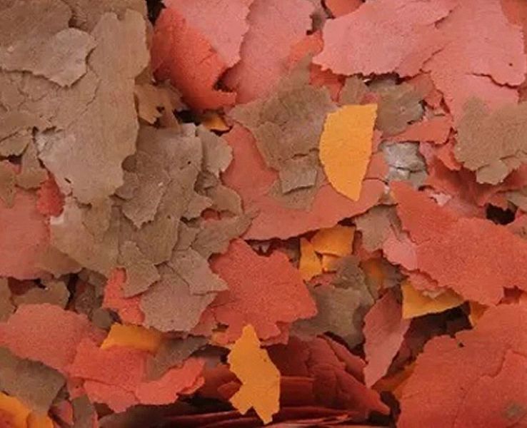 500g Welon Mix płatki pokarm witaminizowany jajka glony dla ryb akwari