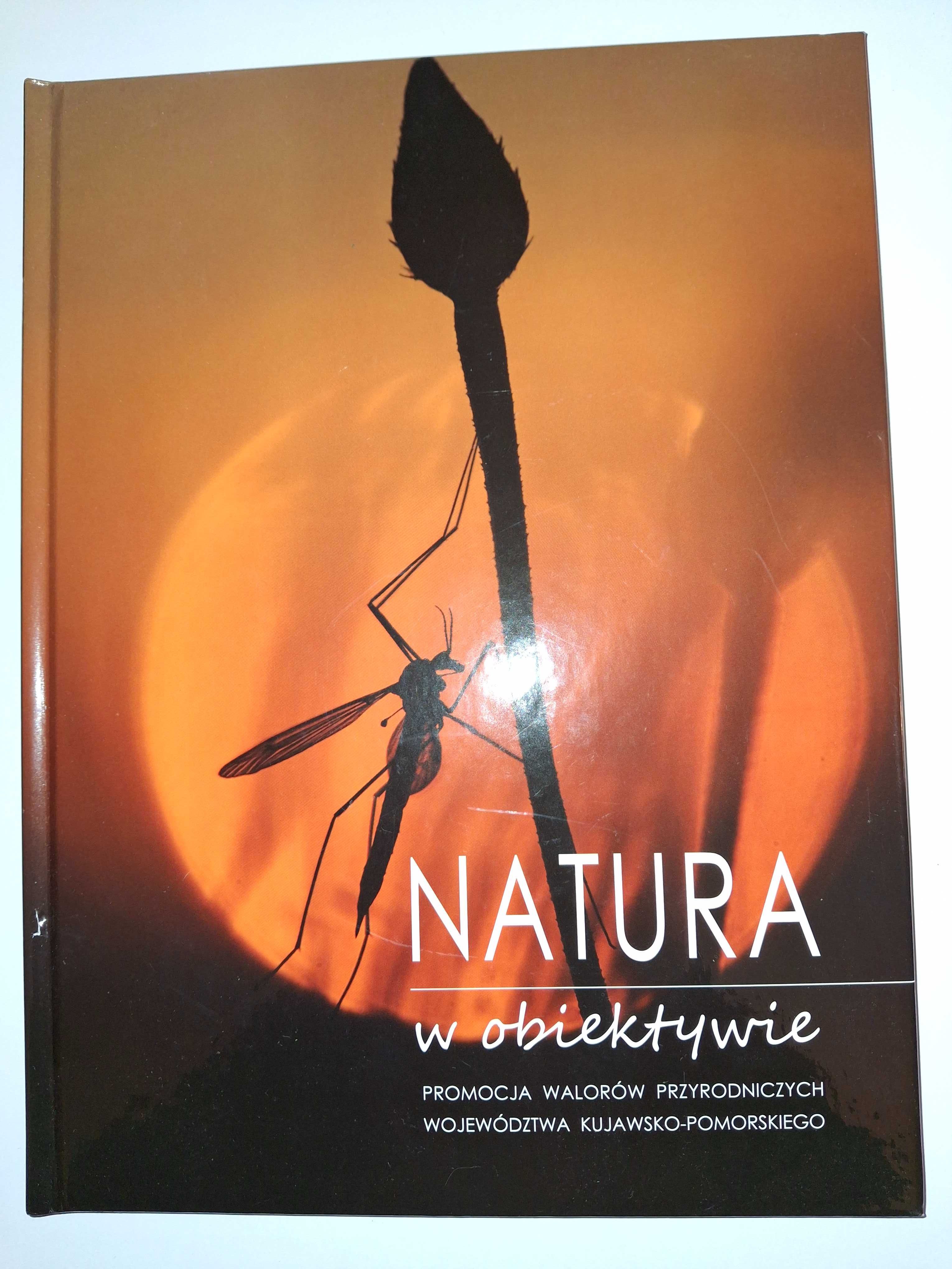 Natura w obiektywie.Promocja walorów przyrodniczych woj.kuj-pom.