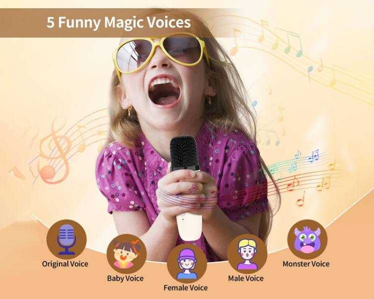 2 x Mikrofon bezprzewodowy + głośnik bluetooth Zestaw Karaoke Lamex