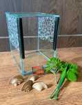 Terrarium szklane 15x15x20 dla pająka ślimaka owadów z wyposażeniem