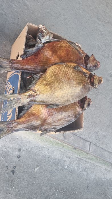 Риба, Копчена, В'ялена,Свіжоморожена опт , великі обйоми лящ,плотва,..