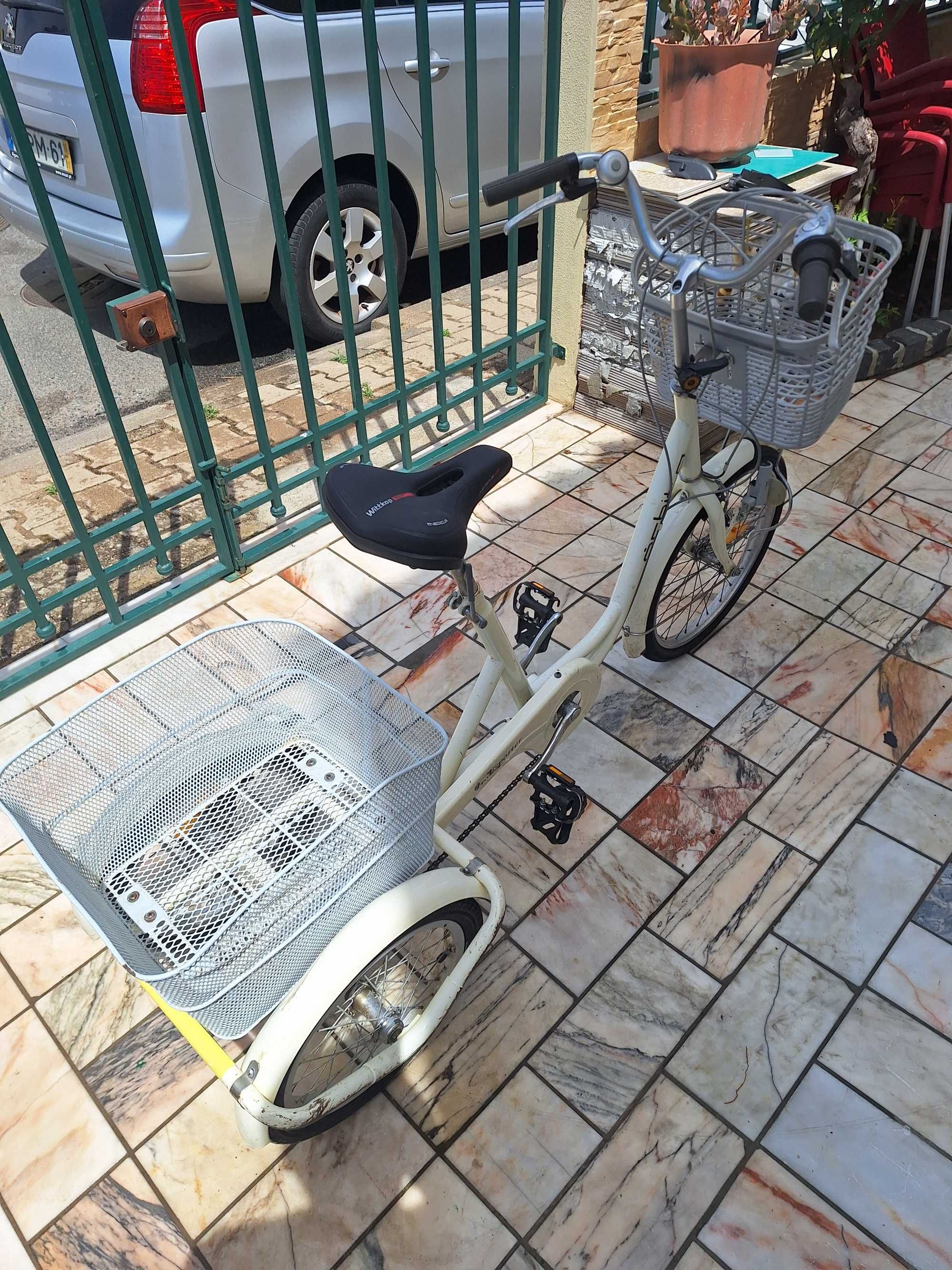 Bicicleta 3 rodas
