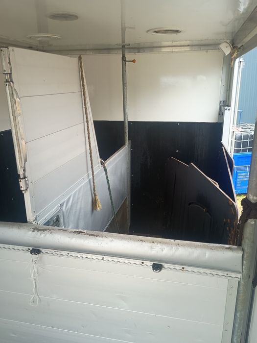 Koniowóz Mercedes sprinter v6 3.0 97 tys przebiegu ,