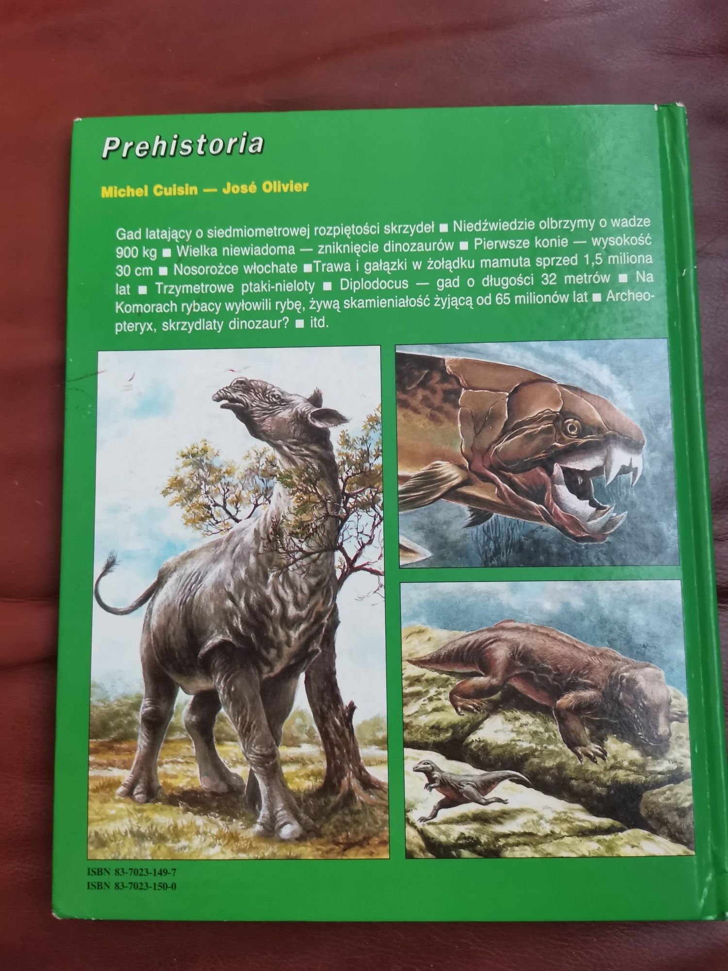 Książka Dinozaury Prehistoria