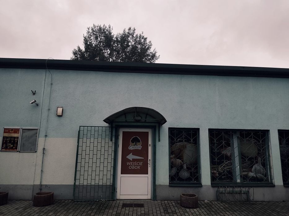 Lokal do wynajęcia