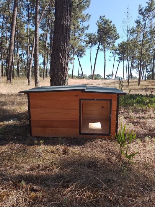Casota para pincher
