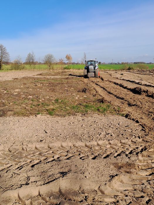 Mulczer frez Wgłębny/Leśny czyszczenie Karczowanie samosiewów pni