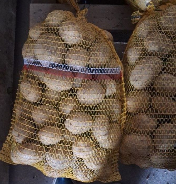 Ziemniaki 15kg Irga duże ładne białe bez nawozów ziemniak warzywa