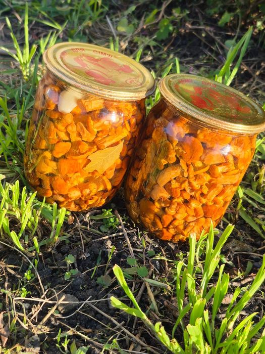 Мариновані гриби