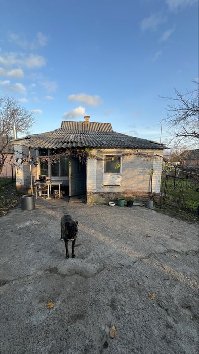 продаж будинку на Крутому Березі (Вакуленці)