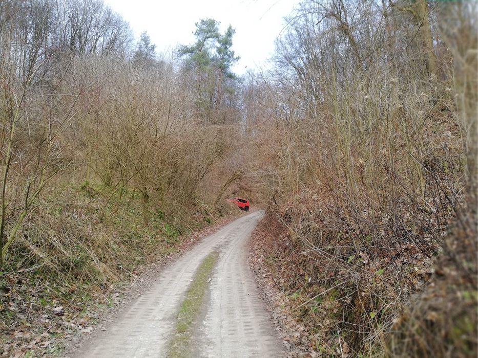 Wierzchoniów gmina Kazimierz Dolny 71 ar