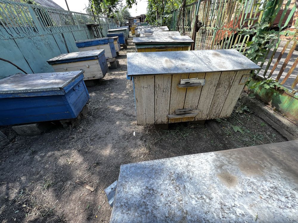Продаю вживані вулики