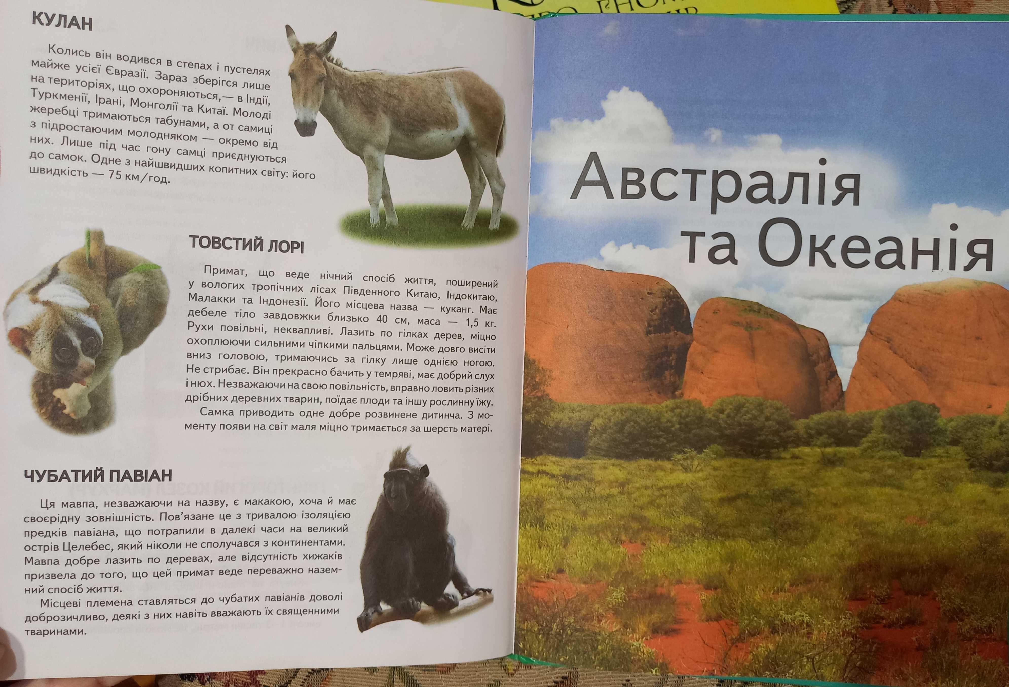 Дитячі книжки казки щедрівки українською