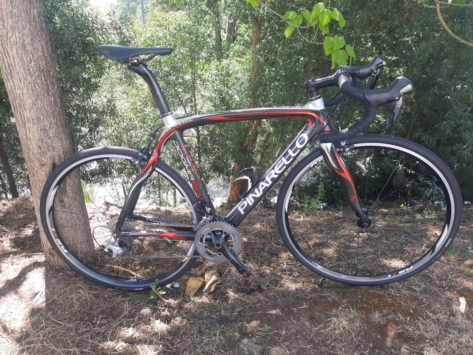 Pinarello de carbono 11x2v