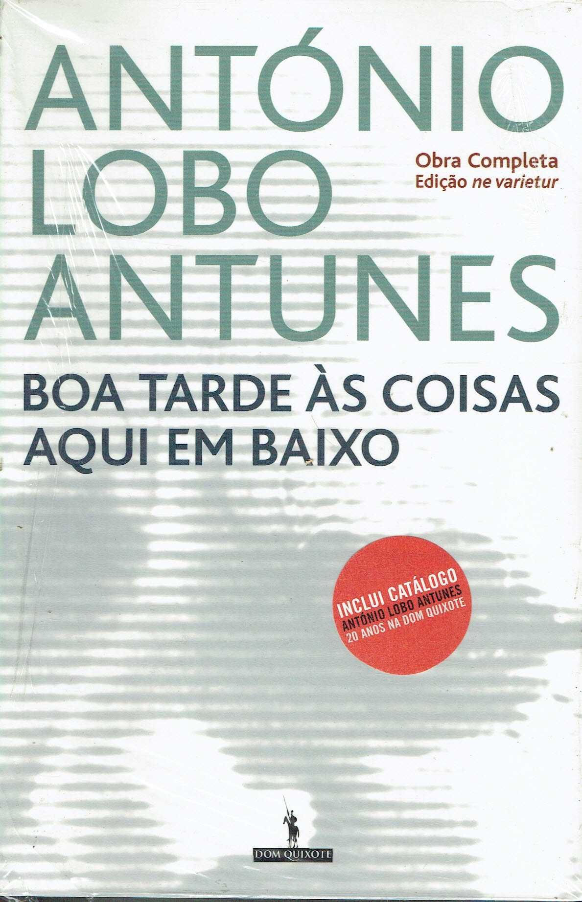 4233

Boa Tarde às Coisas Aqui em Baixo
de António Lobo Antunes