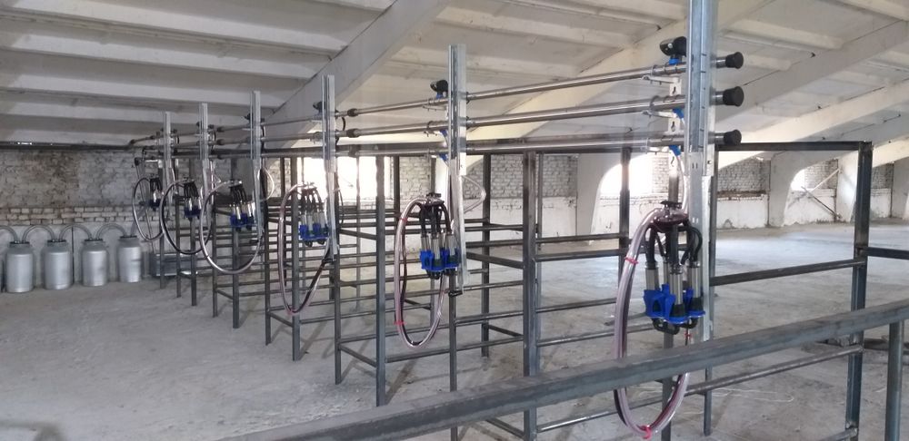 Доїльна установка на 6 корів, доїльний зал,доильная установка Меласти