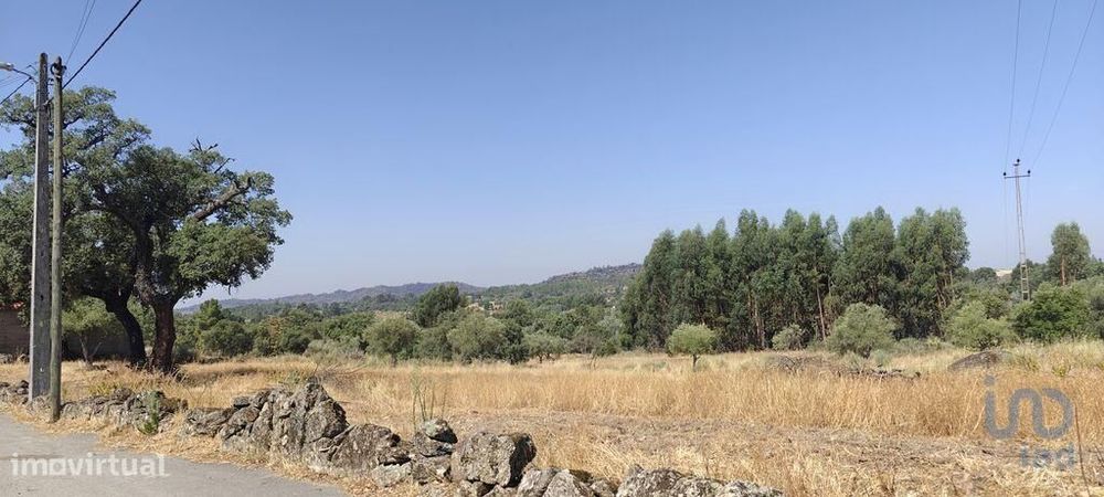 Terreno em Aranhas