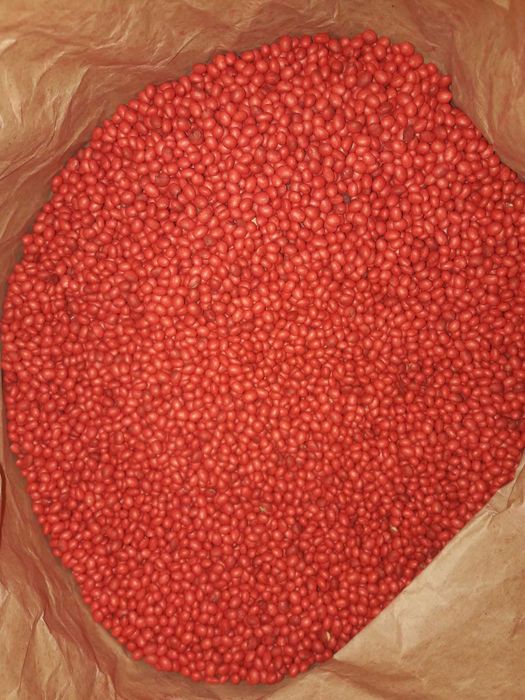 Соя KANSAS, насіння ГМО, канадський сорт, ЕЛІТА