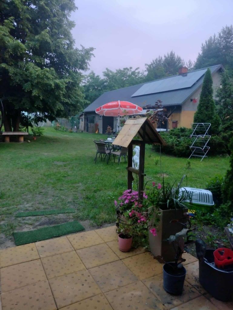Sprzedam dom z lasem