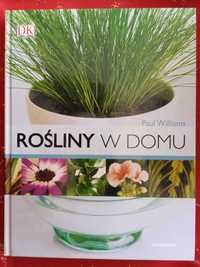 Rośliny w domu – poradnik