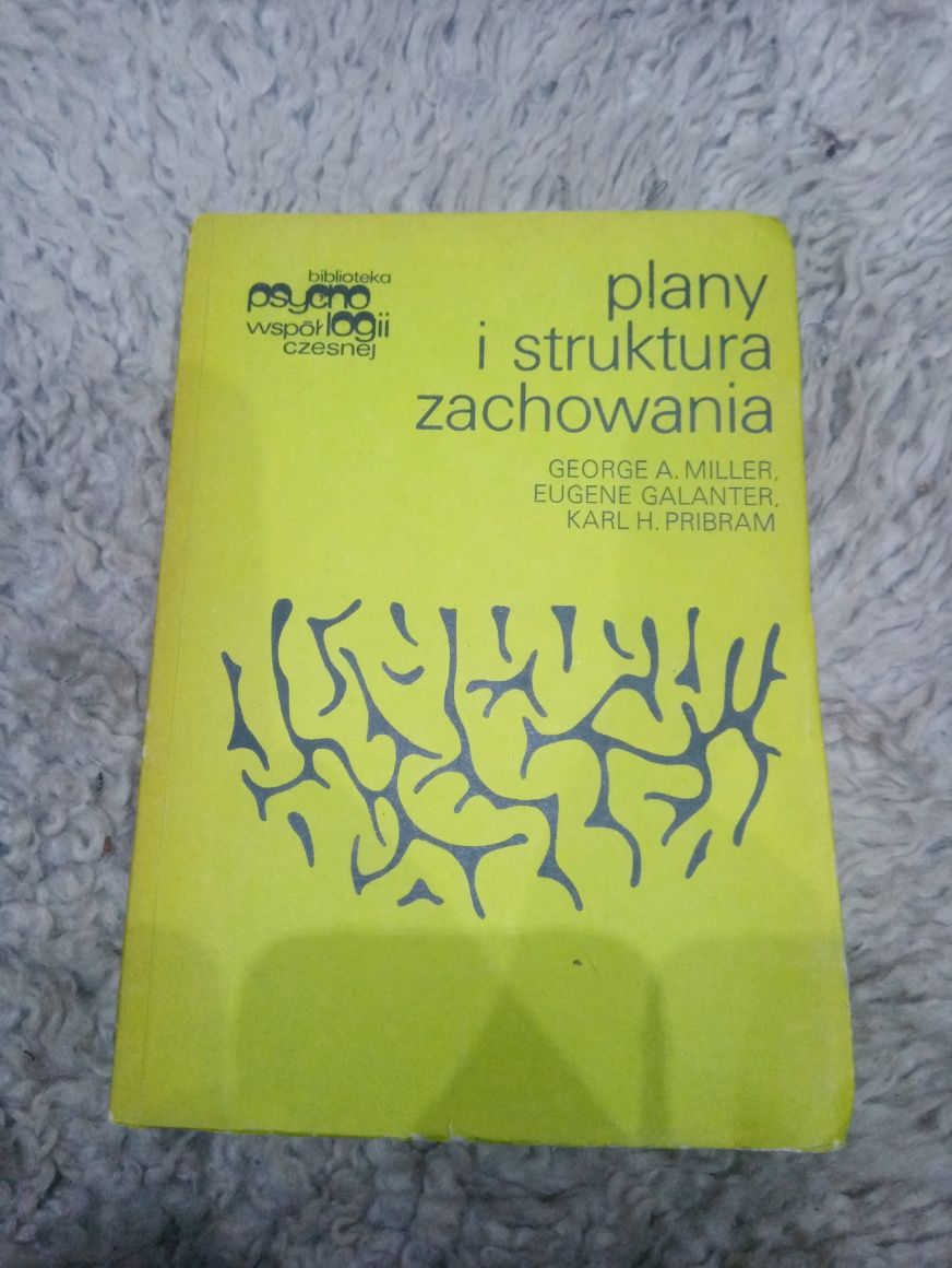 Plany i struktura zachowania