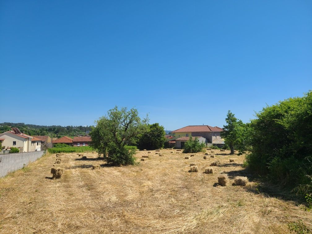 Fardos de palha/feno