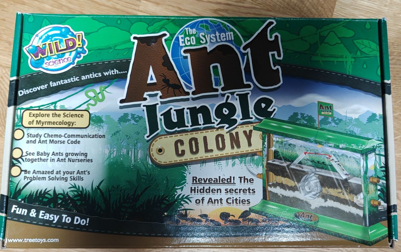 Ant Jungle colony, Eco system dla mrówek, dom dla mrówek. Tree toys