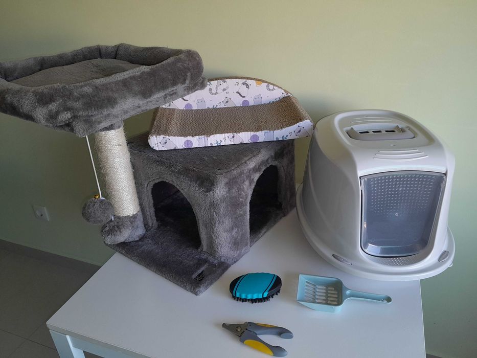 Conjunto artigos para gato