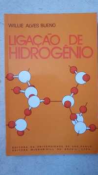 Ligação de Hidrogénio de Willie Alves Bueno