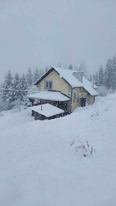 Котедж в смт Славське .Відпочинок  у  Карпатах.Окремий будинок