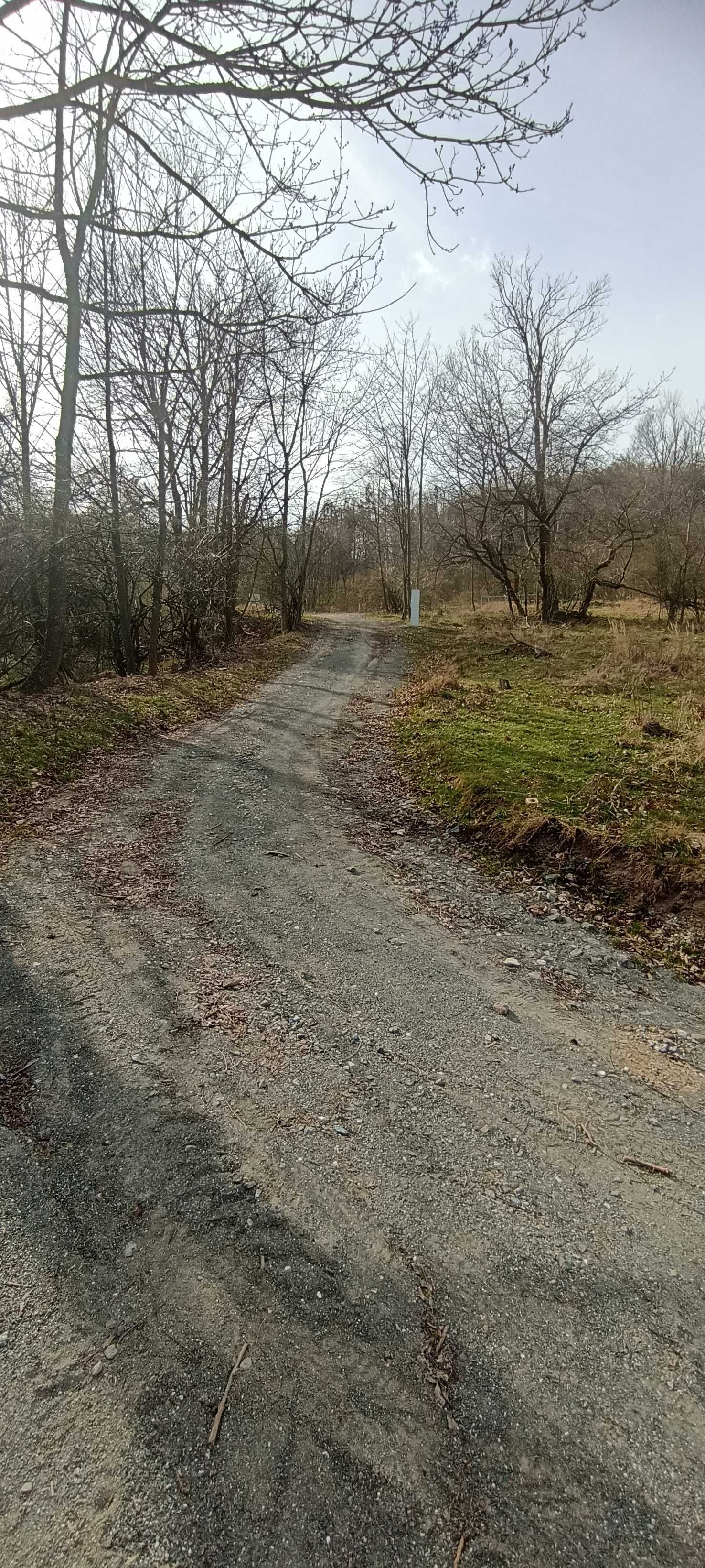 Sprzedam działkę - Wilcza - Osada Srebrna Góra