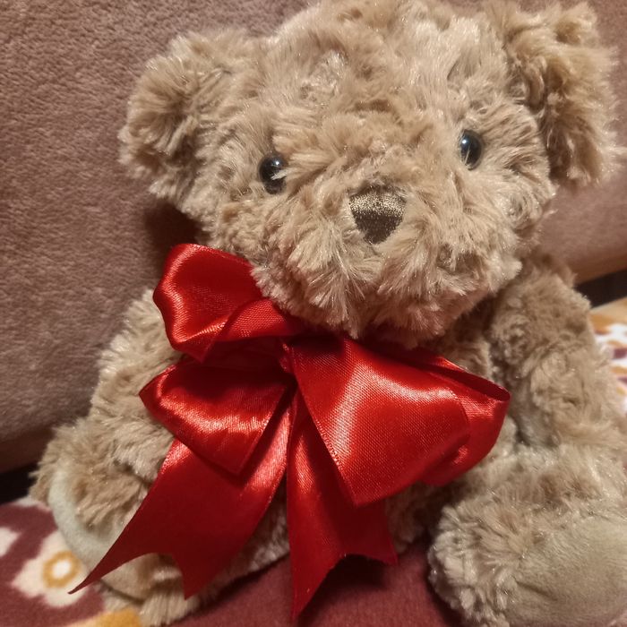 Ведмедик,мягка іграшка