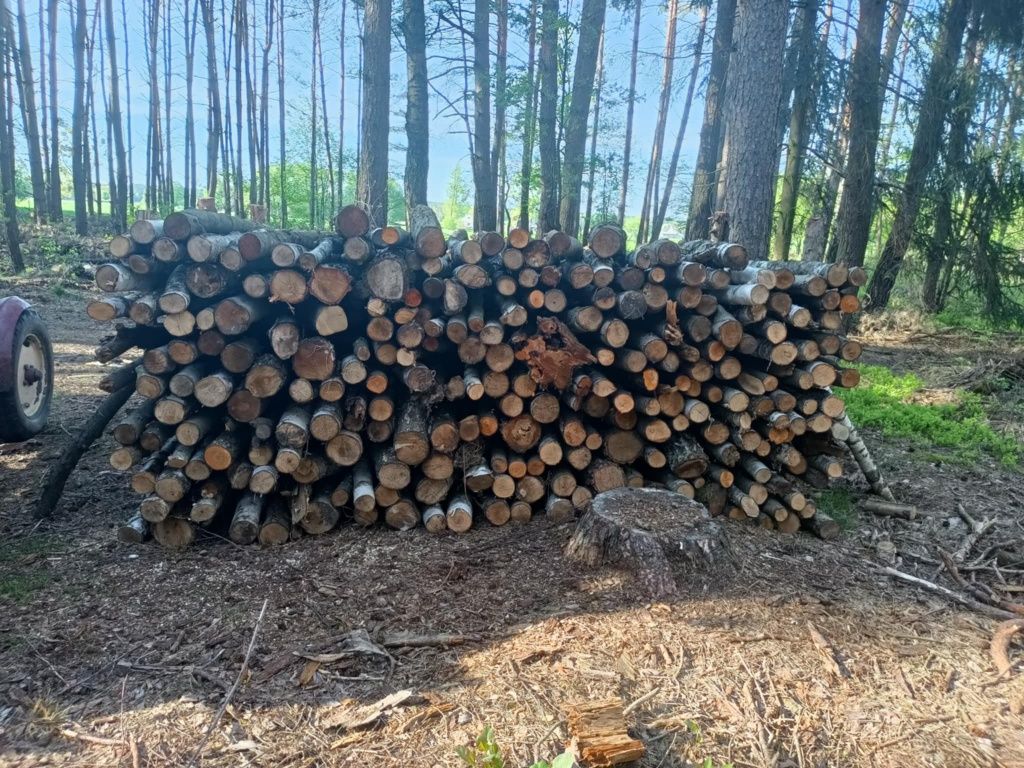 Drzewo opałowe gałęziówka liściaste brzoza olcha