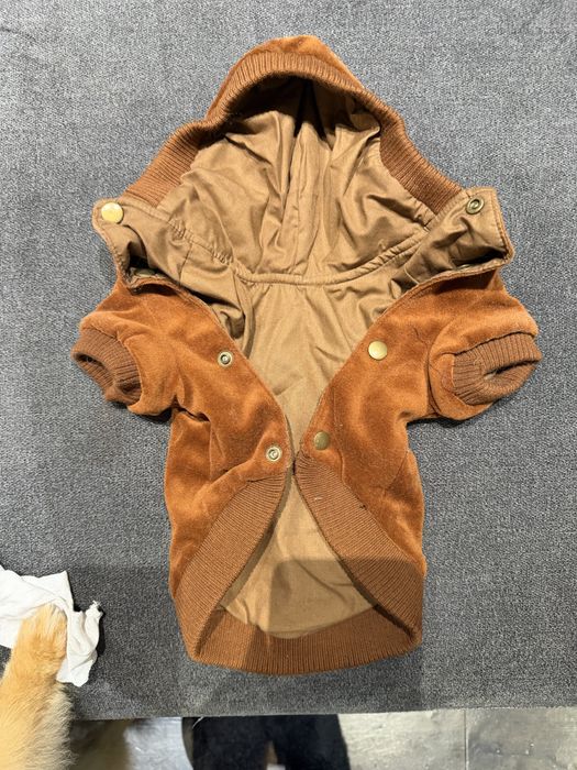Одяг для собак маленьких пород playboy