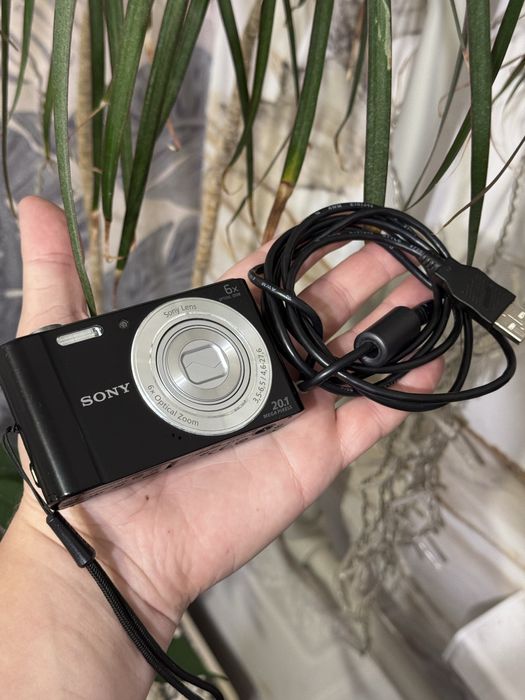 Цифровой фотоаппарат Sony DSC-W810