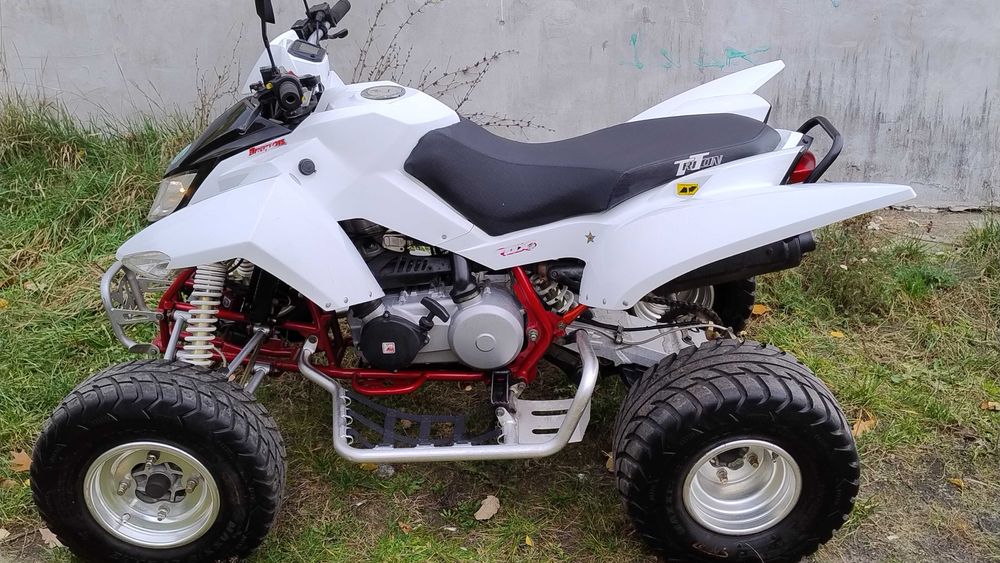 Access Lucky 300 SWAP L7E Kymco Quady Linhai Goes Tgb Aeon Sym Adly DE