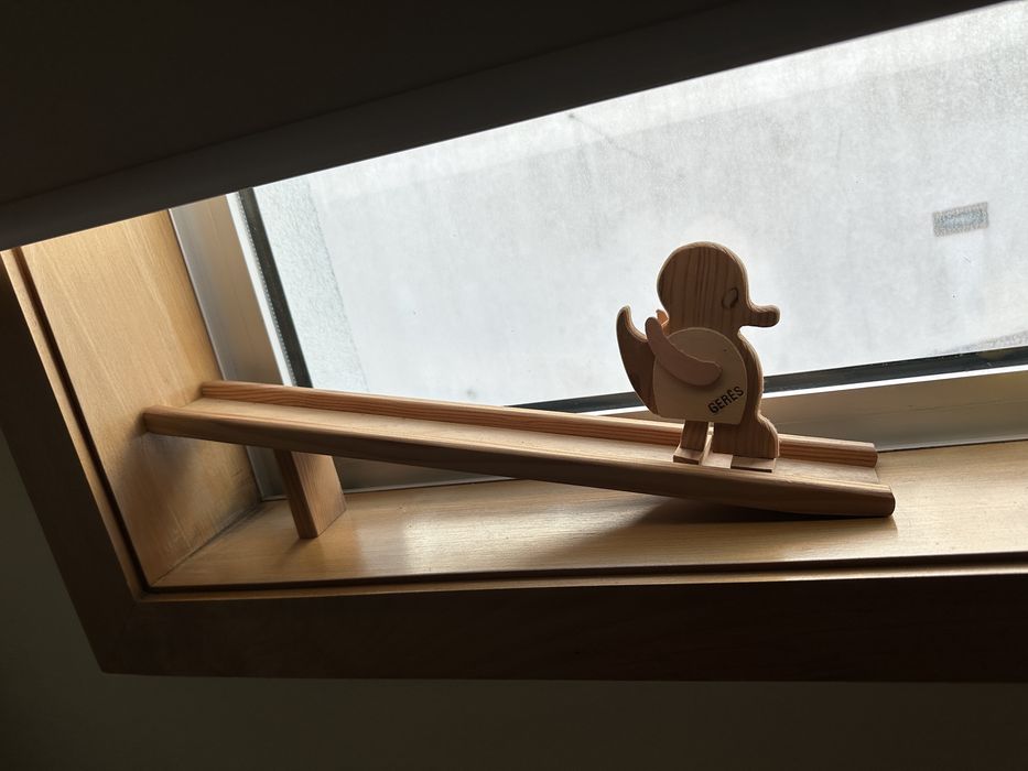 Pato madeira rampa Gerês