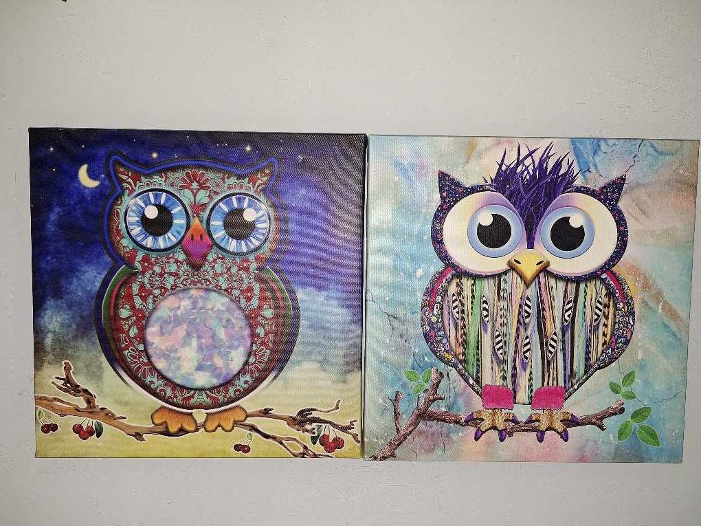 Obrazy z motywem sów sowy drukowane na płótnie 30x30cm GO-Bi obrazki