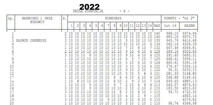 Gołębie młode 2024 do lotu z bardzo dobrej hodowli pocztowe